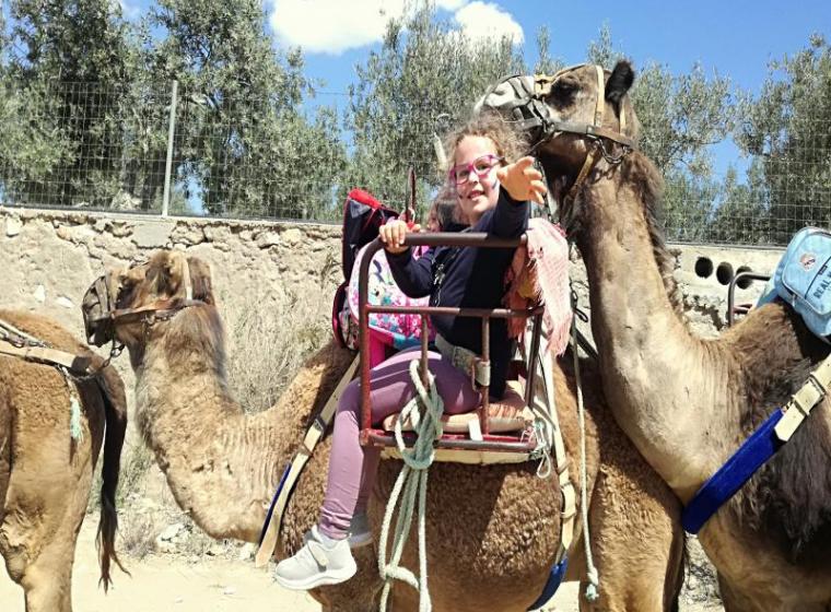 5-anos-en-la-granja-de-camellos