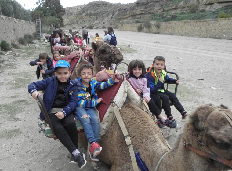 segundo-visita-la-granja-de-los-camellos