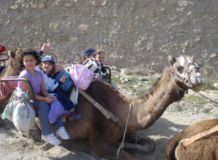 primero-en-los-camellos